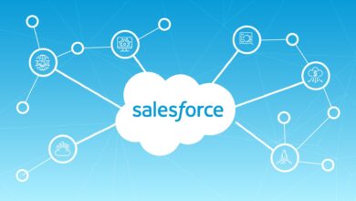 Salesforce CRM Cost Breakdown